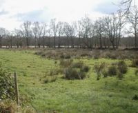 Langonnet prairies site